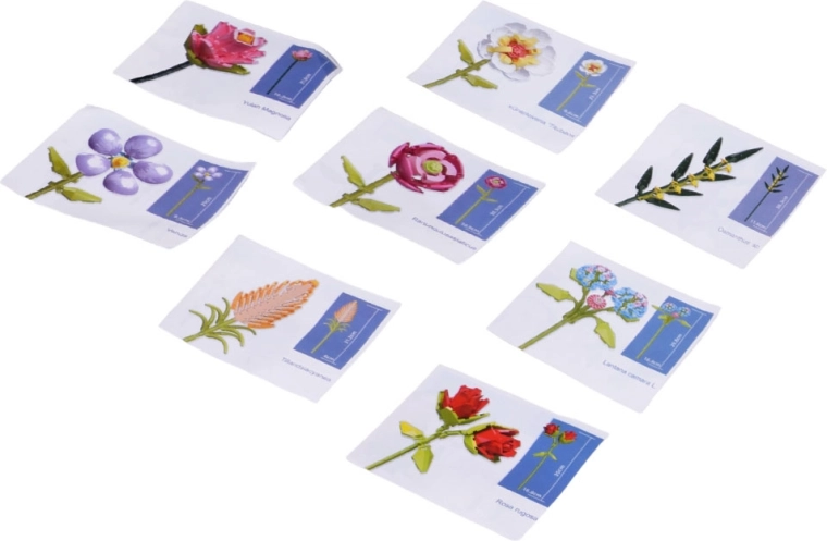 Cartes d’instructions claires