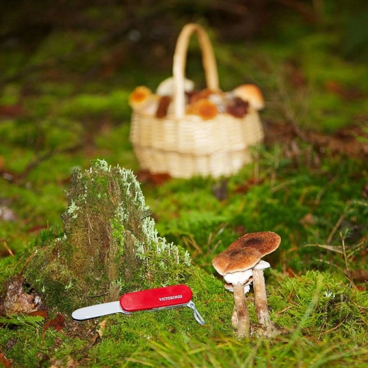 Design VICTORINOX sous licence