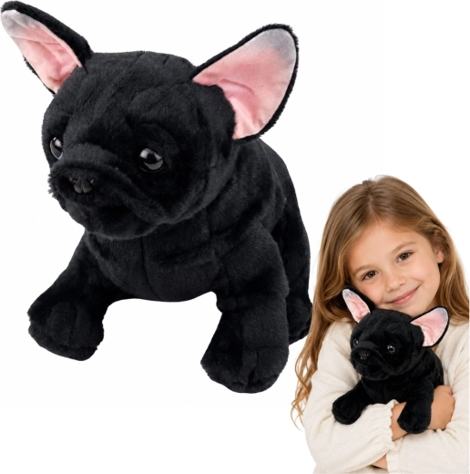 Peluche bouledogue français noir 22 cm