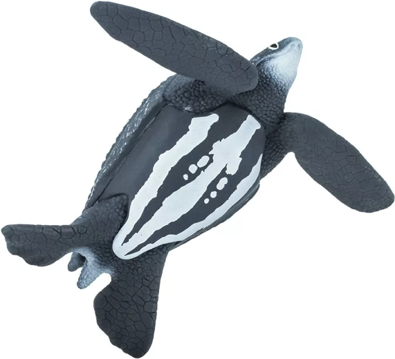Taille idéale pour une main d’enfant
