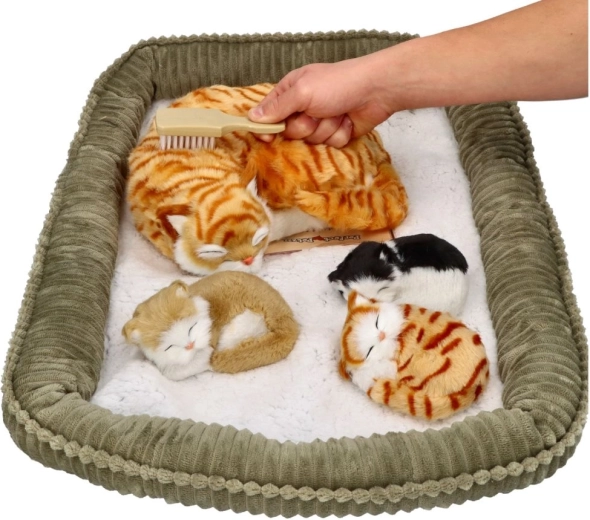 Finition en peluche agréable