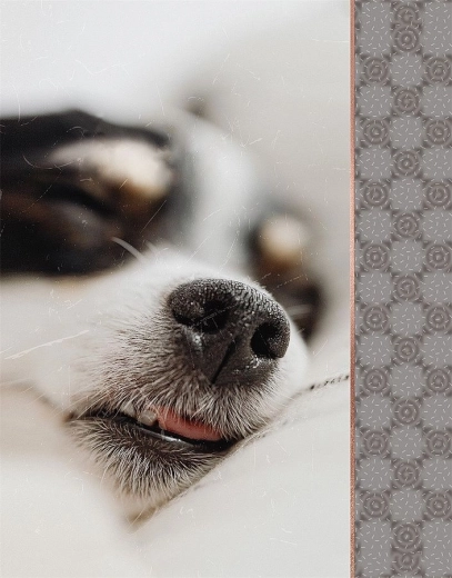 Album photo CONCORDE pour 64 photos 10 × 15 cm