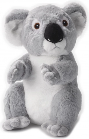 Koala En Peluche 29 cm