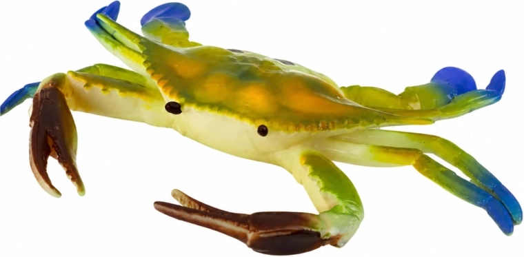 Des détails fidèles comme sur un vrai crabe