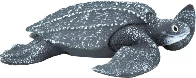 Tortue luth Safari Ltd. - 1 pièce