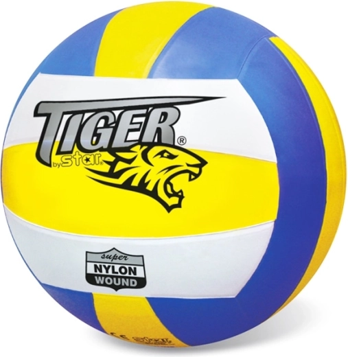 Ballon de volley-ball