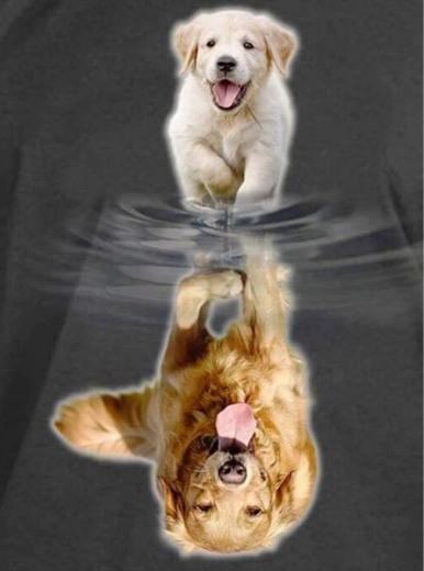 Peinture diamant – reflet miroir - chien 30 × 40 cm - 1 pièce