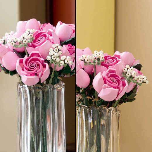 Roses à plusieurs stades de floraison