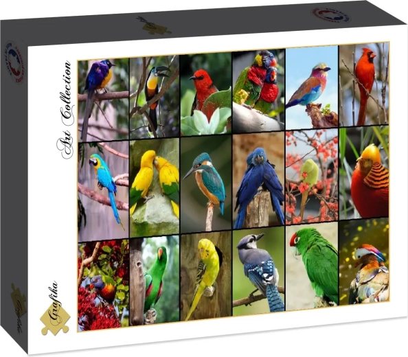 Puzzle Grafika Les plus beaux oiseaux du monde, 1500 pièces