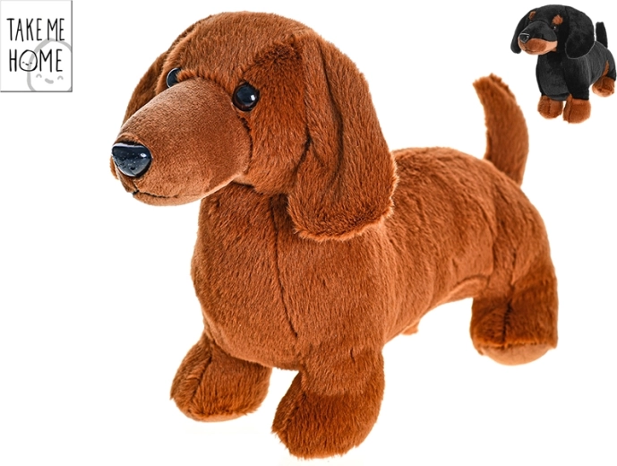 Teckel en peluche 36 cm Take Me Home