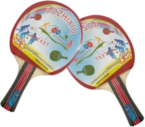 Ensemble de tennis de table