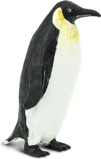 Matériaux sûrs sans phtalates