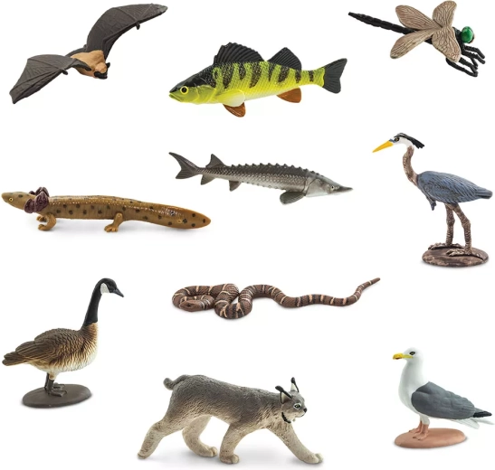 10 miniatures d’animaux de la région des Grands Lacs