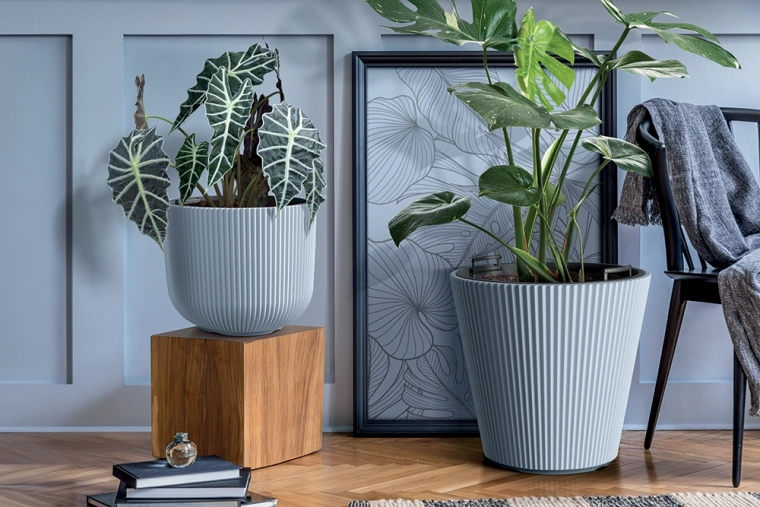 Design rainuré moderne