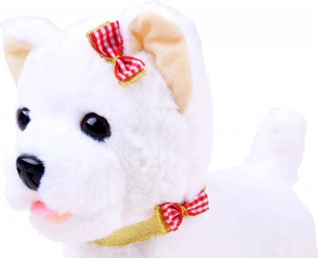 Réagit aux caresses