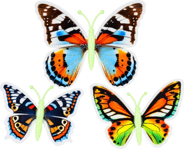 Papillons aux motifs colorés