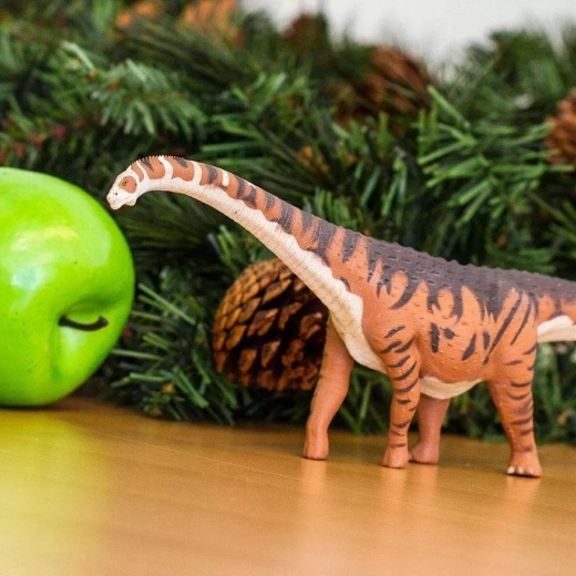 Parfaite pour la nature, l’école et la collection