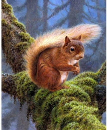 Broderie diamant (diamond painting) écureuil 30 × 40 cm - 1 pièce
