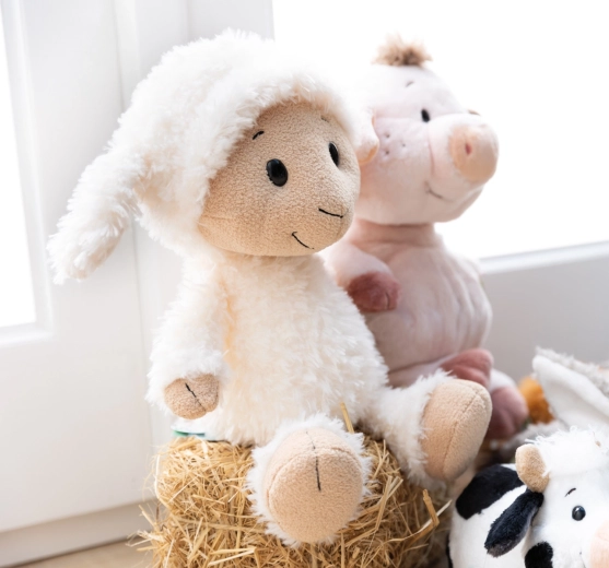 Collection durable NICI Green (RPET)