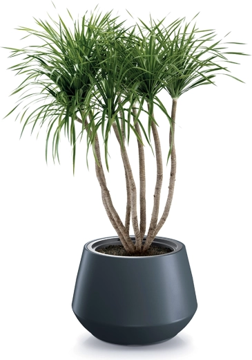Accessoire stylé pour un intérieur moderne