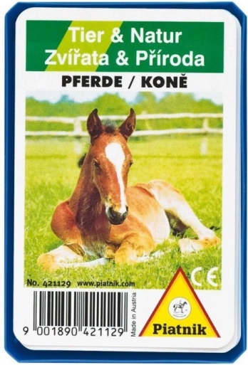 Quartet – Chevaux dans une boîte en plastique