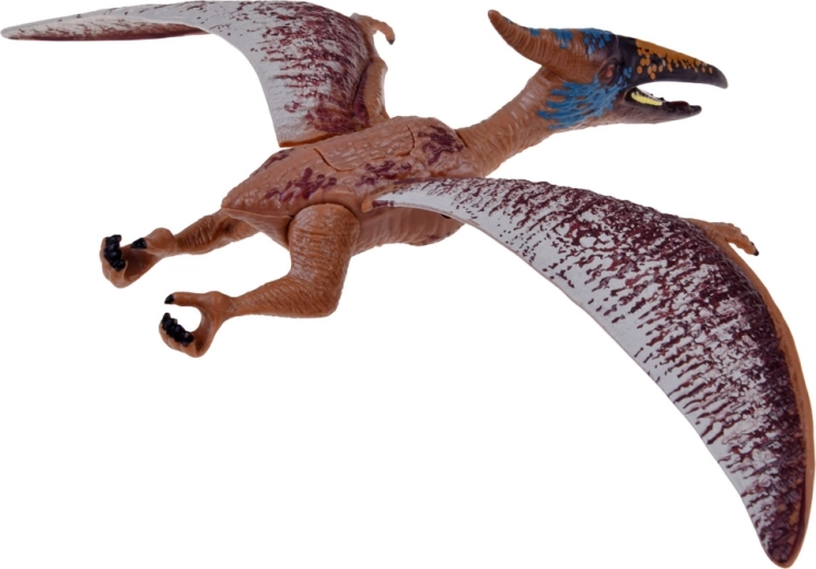 Set varié pour d’innombrables histoires