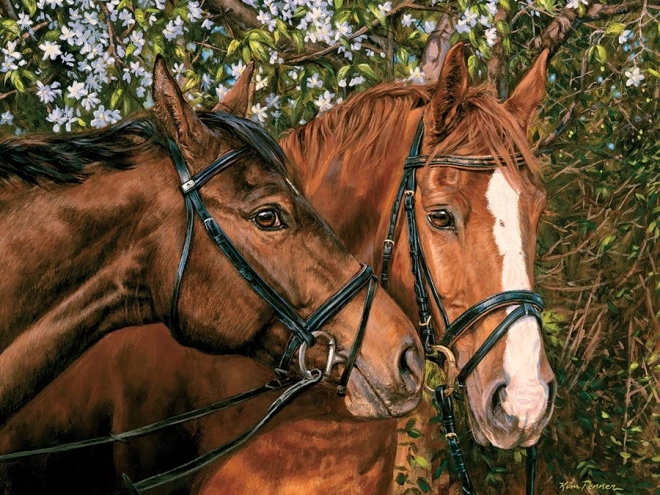 Puzzle Amis pour toujours XL 275 pièces de Cobble Hill