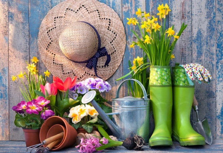 Puzzle Prêt pour le jardinage 1000 pièces BLUEBIRD