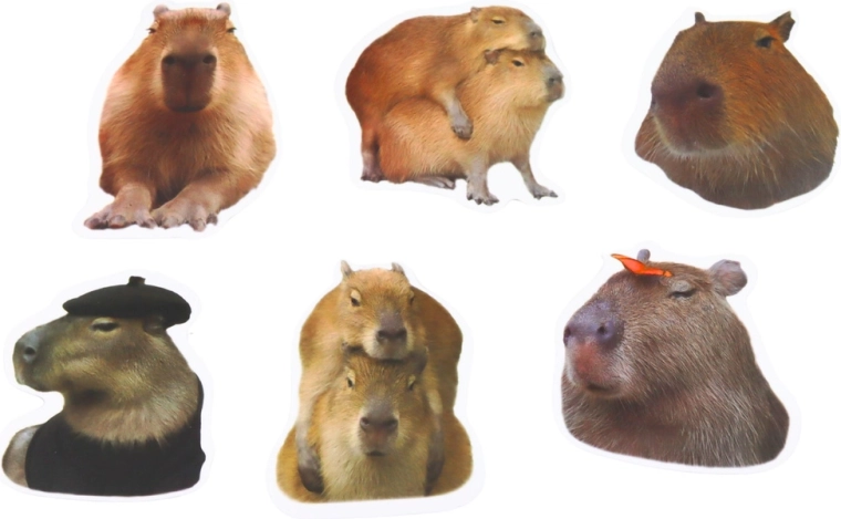 Motifs réalistes de capybaras