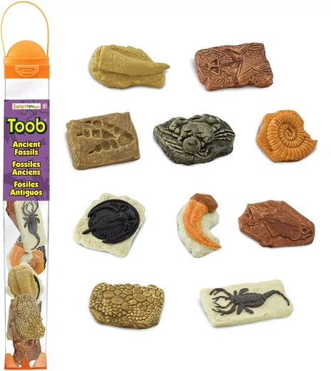 Safari Ltd. Toobs tuba fossiles
