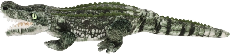 Cadeau et décoration pour la chambre d’enfant