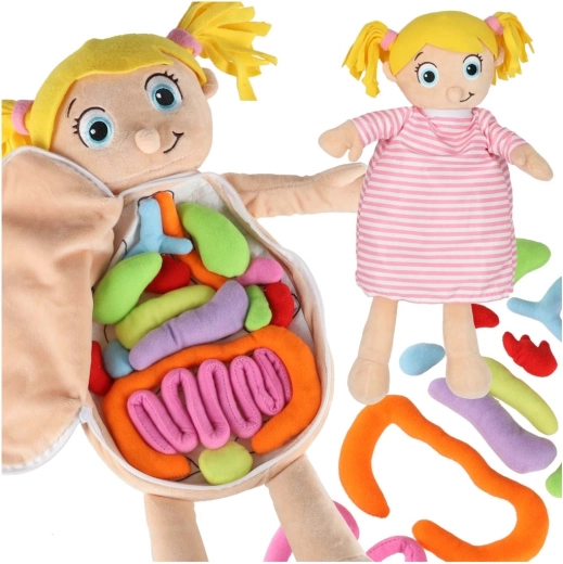 Poupée anatomique en peluche Montessori pour enfants