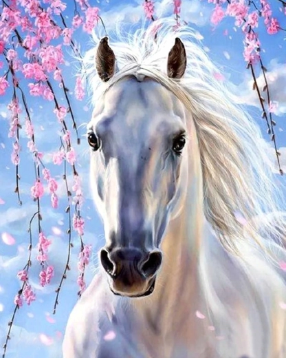 Norimpex Peinture par numéros cheval blanc sous des branches roses 40 × 50 cm