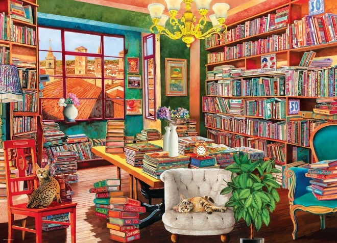 Puzzle Vieille bibliothèque 1000 pièces EUROGRAPHICS