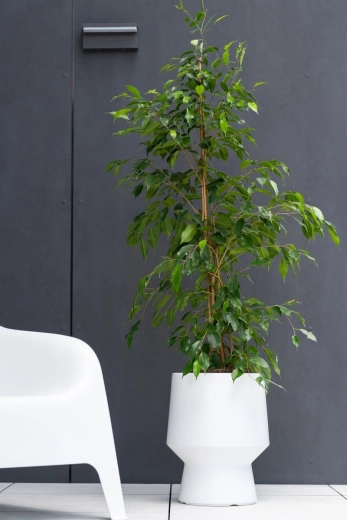 Accessoire stylé pour l’intérieur