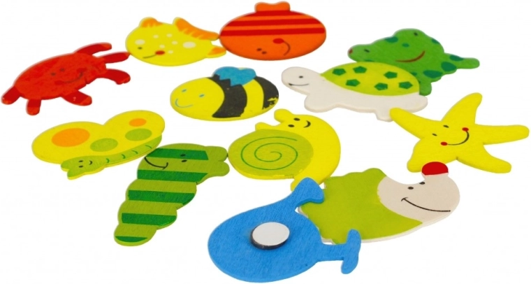 Aspect bois naturel et couleurs vives