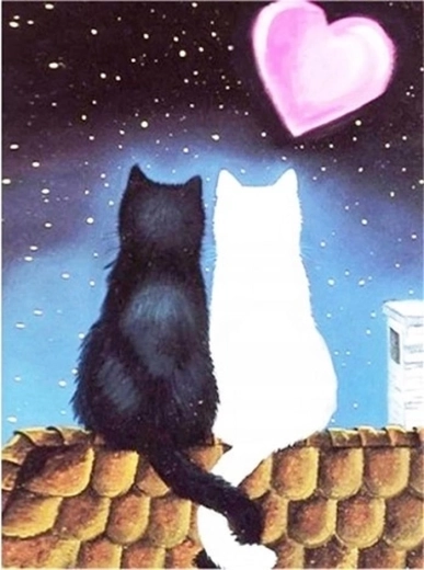 Norimpex peinture diamant Amour félin 30 × 40 cm