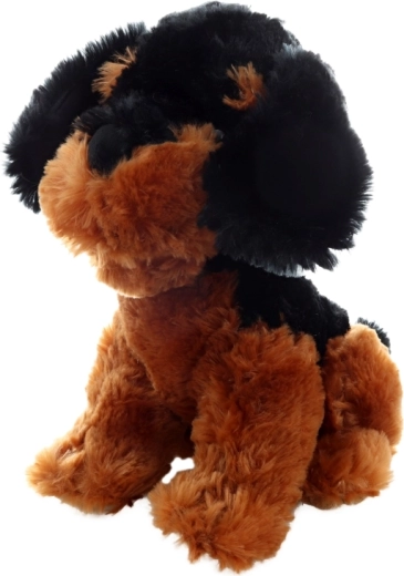 Taille idéale 30 cm