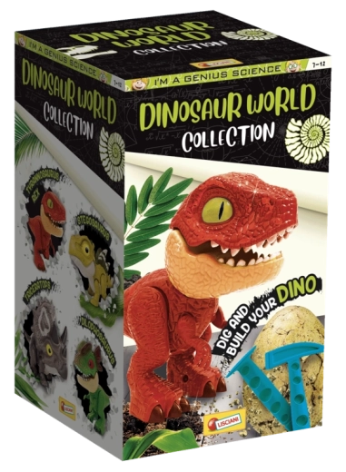 Collection de 4 dinosaures à assembler