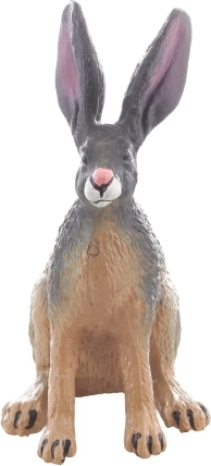 Taille idéale pour la collection et les déplacements