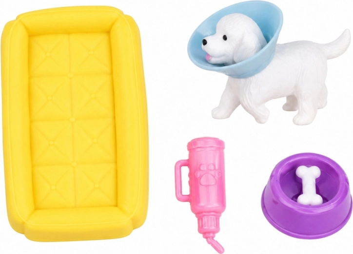 Petit chien au collier de protection pour jouer aux soins