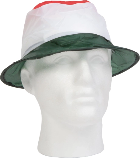 Couleurs hongroises de supporter