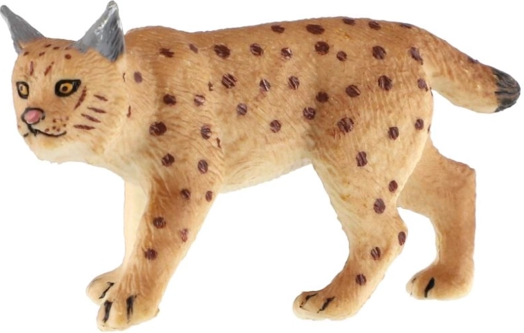 Caractéristiques typiques du lynx