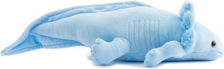 Détails réalistes de l’axolotl