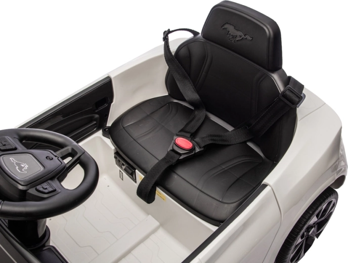 Siège sécurisé avec ceinture