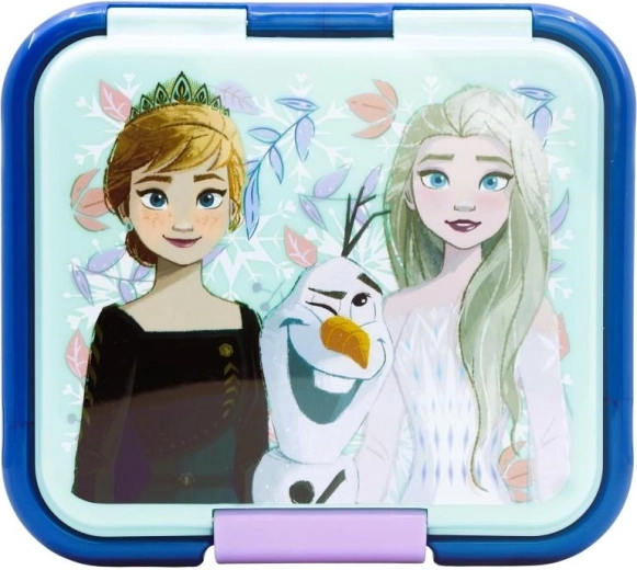 Motif Frozen et fermeture sûre