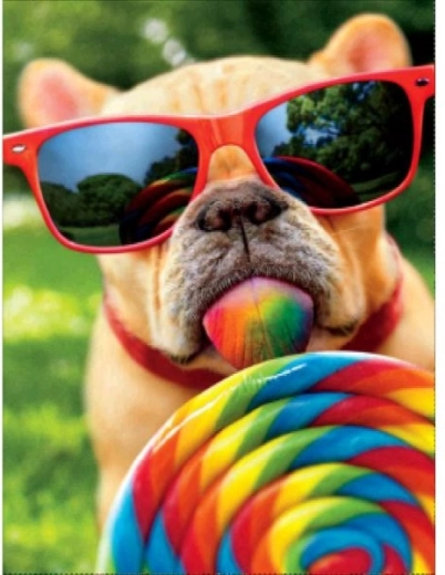Peinture diamant – chien avec des lunettes 30 × 40 cm