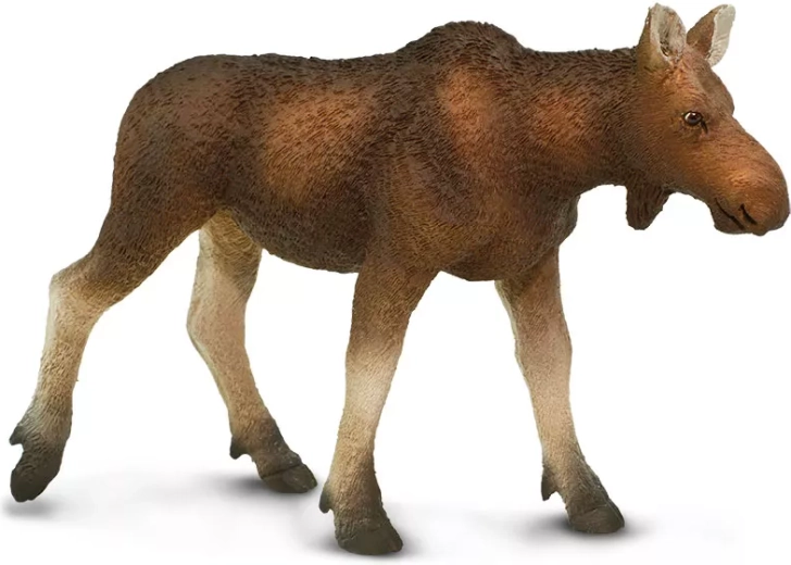 Safari Ltd. figurine de femelle élan d’Europe - 1 pièce