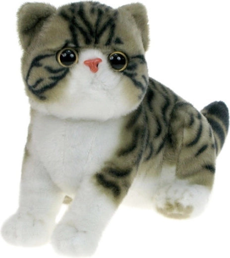 Chat exotique en peluche gris et blanc 26 cm