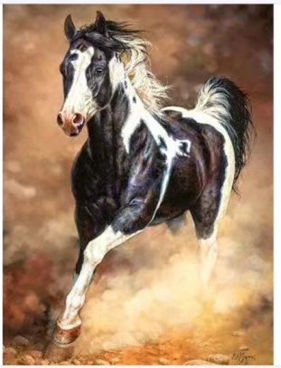 Norimpex Peinture par numéros cheval au galop dans le sable 40 × 50 cm